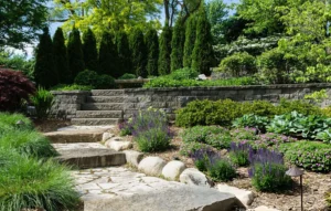 Hardscape Maintenance