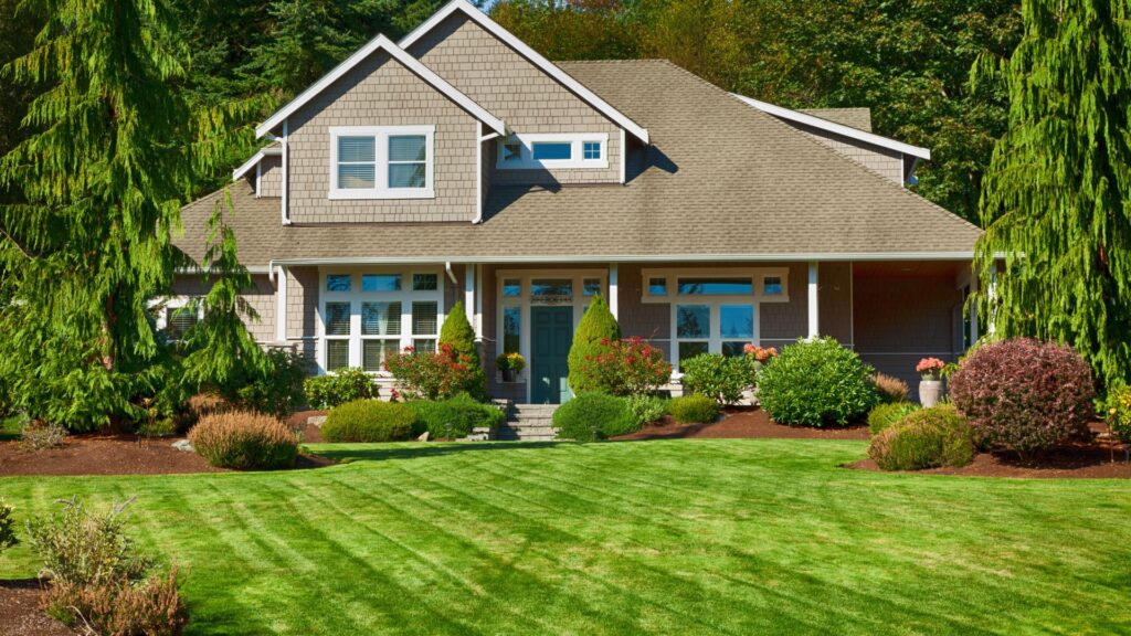 Designing with Purpose in a Compact Space