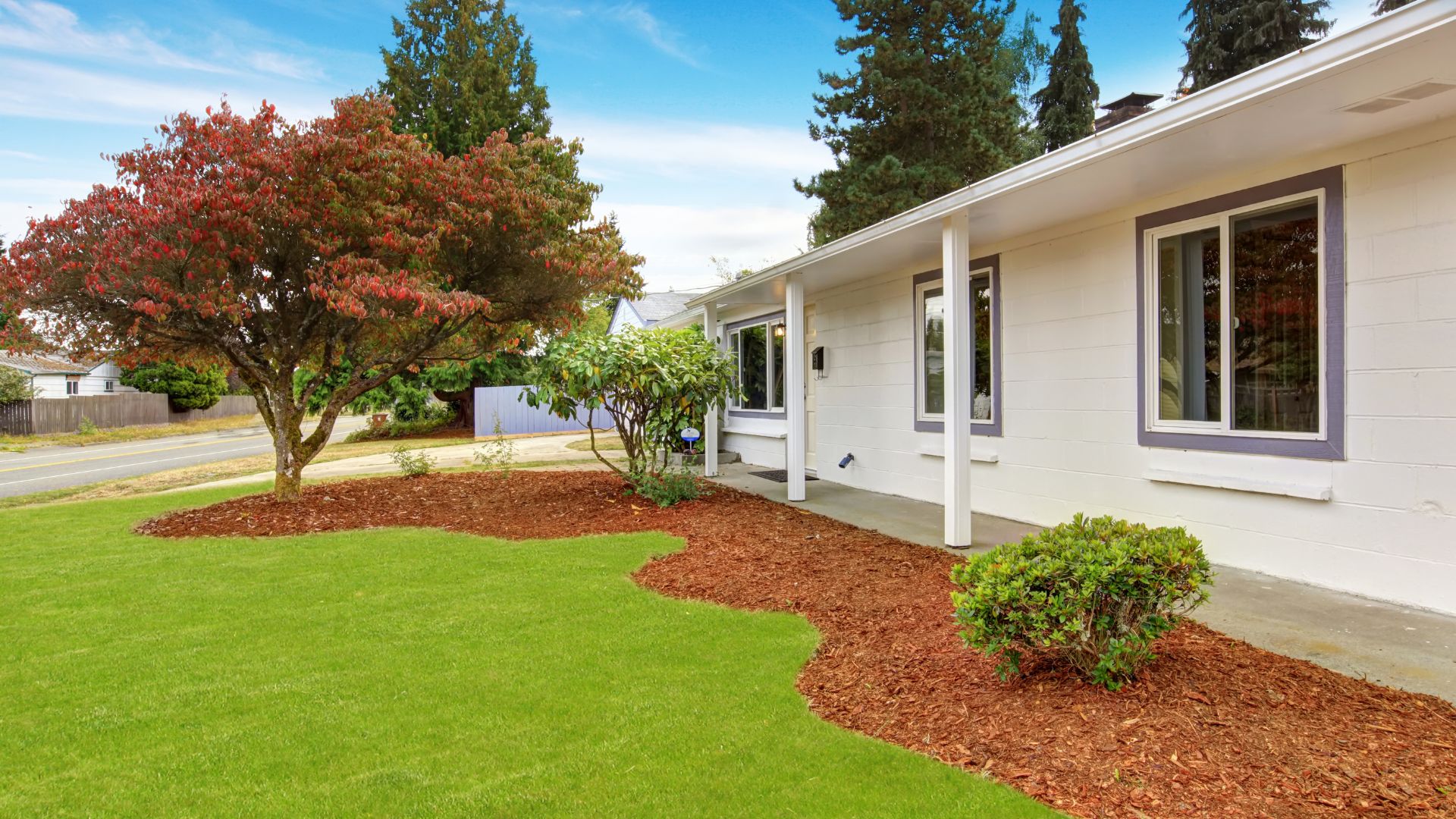 Landscaping Ideas for Bellevue Homes with Small Yards
