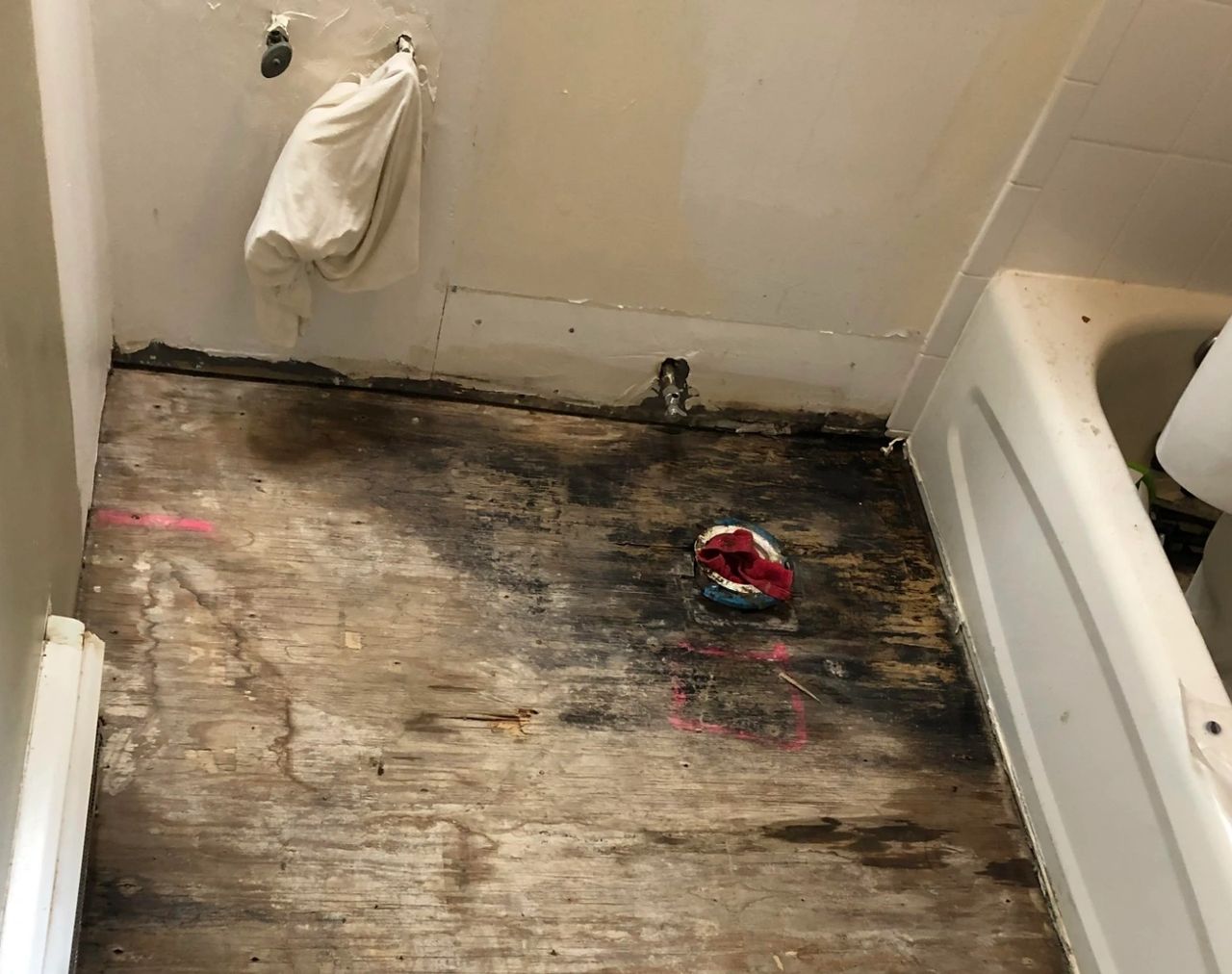 Mold and Water Damage