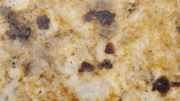 Mold Risks